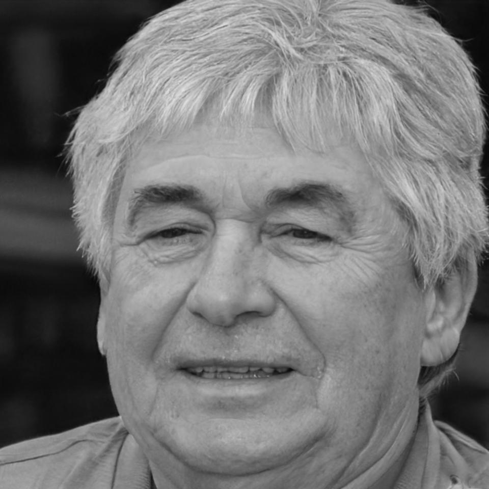 Instructor especializado en riesgos geopolíticos para trading